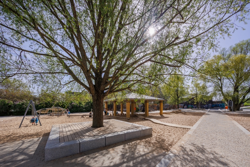 Baum im Mauerpark