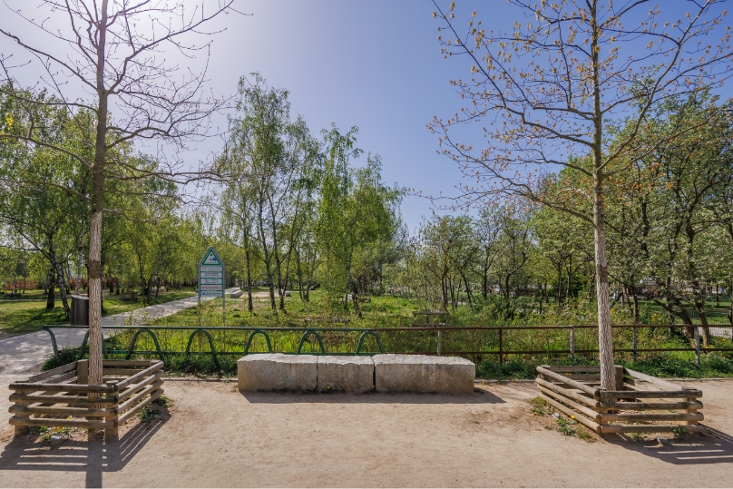Steinbank im Mauerpark