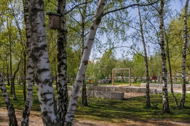 Bäume im Mauerpark