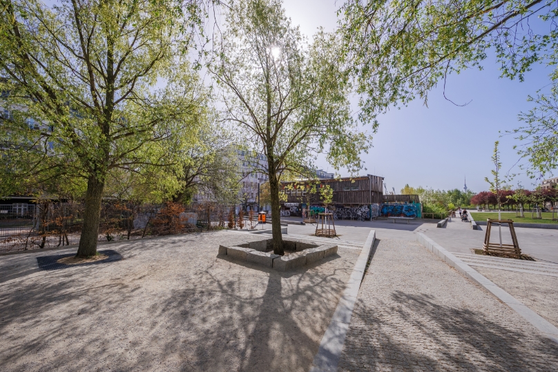 Baum im Mauerpark