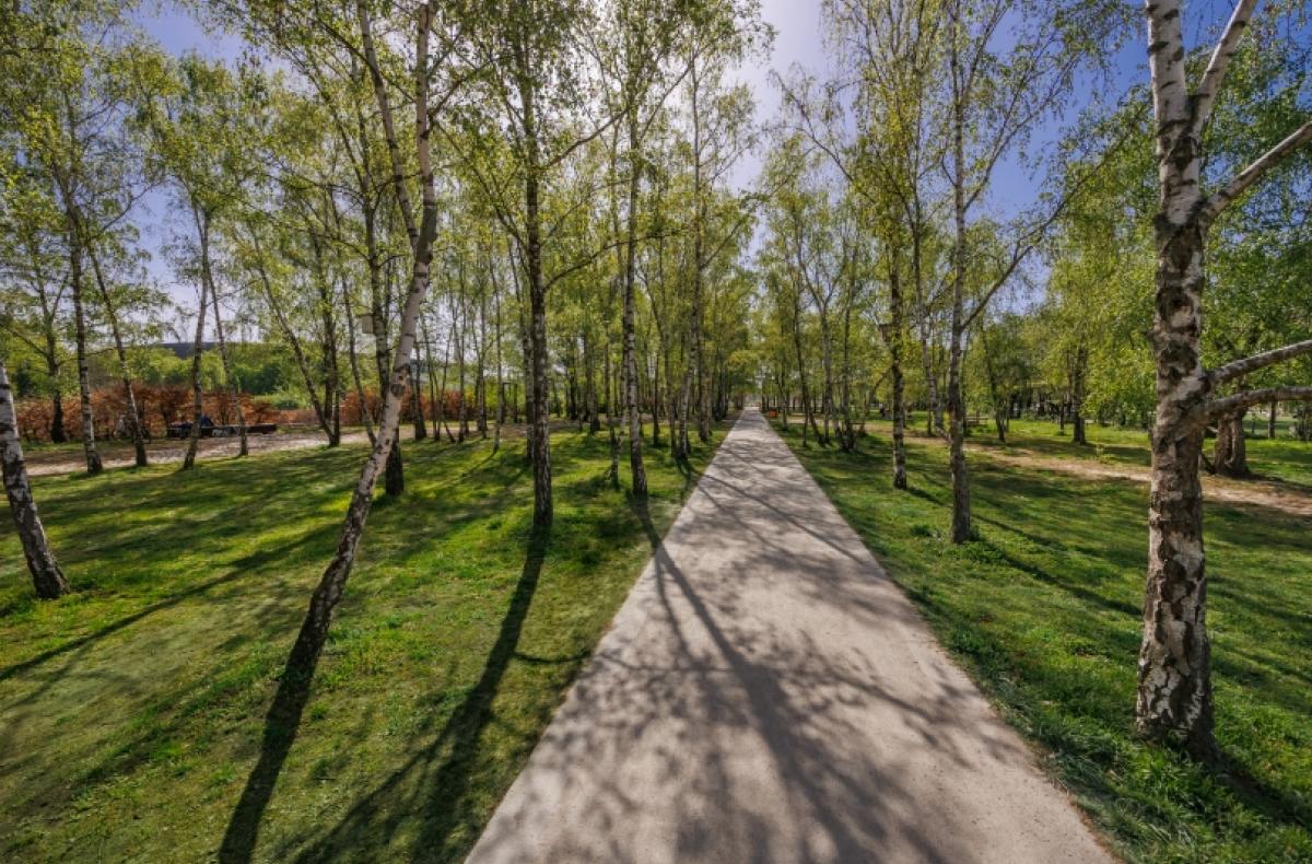 Weg im Mauerpark