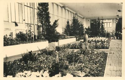 1950 Berlin, Grüne Woche