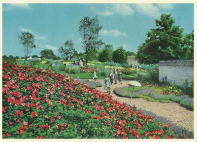 1953 Hamburg, Gartenschau Ausstellung
