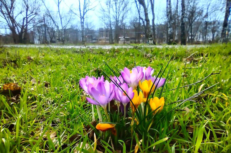 Vorfreude auf den Frühling im Mauerpark